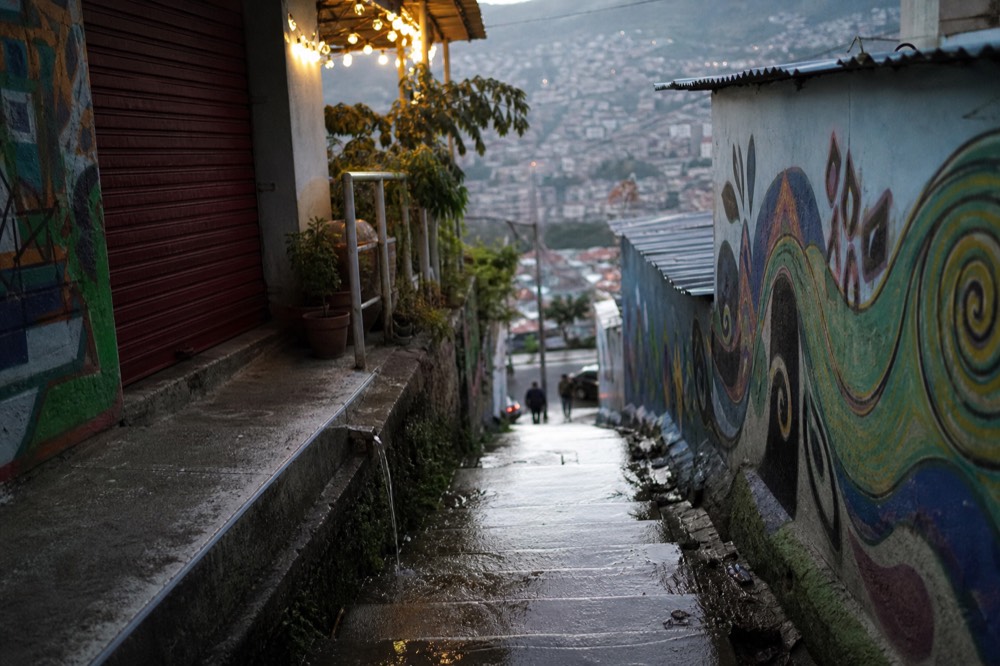 Rain-slicked concrete steps between painted walls with water running down the edge, a closed shutter and potted plants nearby