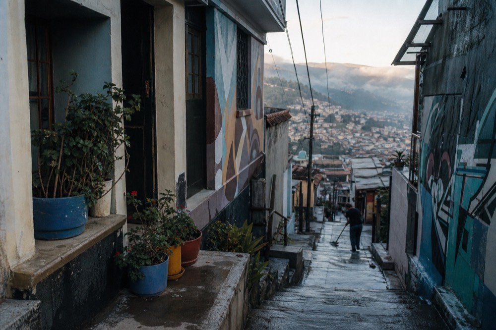 A quiet hillside stairway alley in soft early light, wet concrete steps, potted plants on a doorstep, one distant figure sweeping